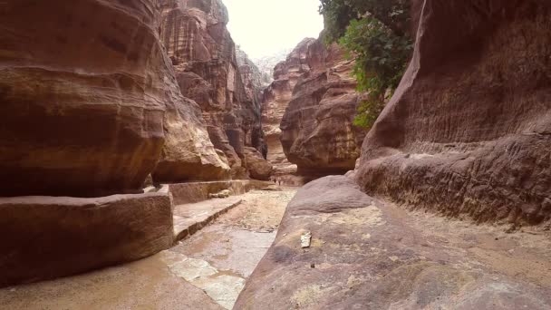 Turistes marchant à l'intérieur du canyon, Petra, Jordanie — Video