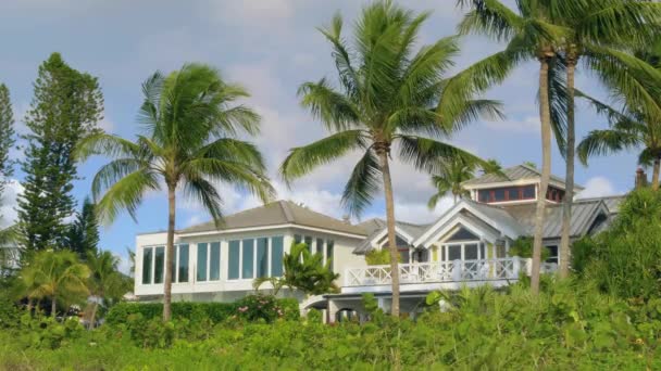 Пригородный дом с пальмами во дворе — стоковое видео
