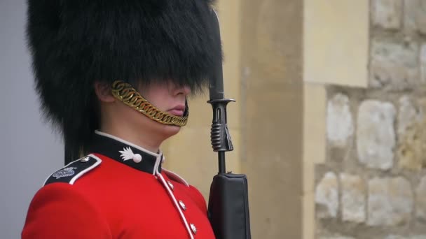 Soldado da Guarda Britânica de serviço, imagens de perto — Vídeo de Stock