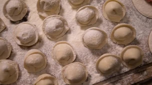 Listos para ser cocidos dumplings acostados en tablero de madera — Vídeo de stock