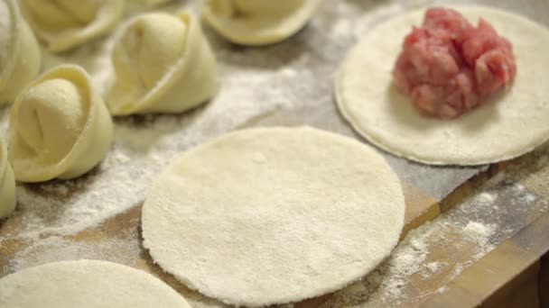 Rows of prepared dumplings with minced meat — Stok video