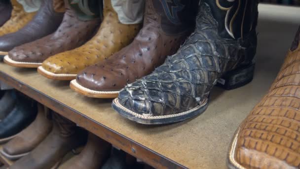 棚の上でカウボーイのブーツ ダチョウ 水牛の革からアメリカスタイルのブーツ 男性のための異なる色の乗馬ブーツの品揃え スタイリッシュな革の西洋スタイルのブーツ — ストック動画