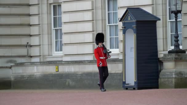 Guarda das Rainhas - Palácio de Buckingham. Movimento lento . — Vídeo de Stock