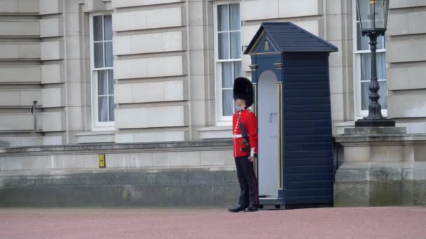 Guardia británica en uniforme rojo-negro tradicional — Vídeo de stock