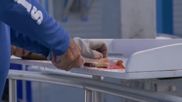 Pescador limpia el pescado en el muelle de pesca — Vídeos de Stock