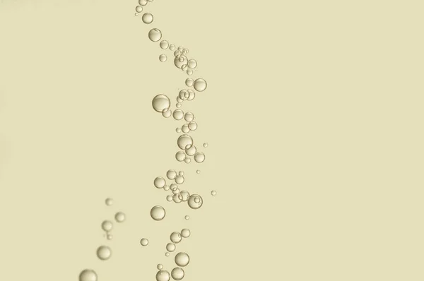 Champagne fizz bubbles — Stock Photo, Image