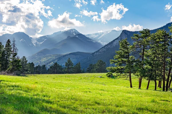 Äng i Rocky Mountain National Park — Stockfoto