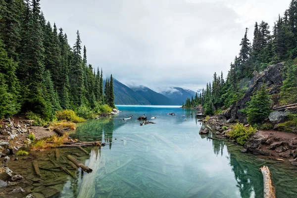 Mountain and trees reflected in Garabaldi Lake — Stock fotografie