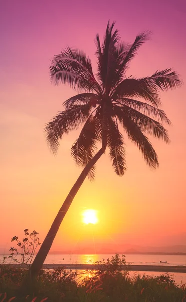 Silhouette coconut palm trees on beach at sunset. Vintage tone. — Stock Photo, Image
