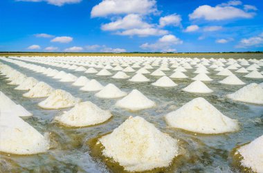 Deniz tuz alanlarla tuz Tayland mavi gökyüzü arka plan üzerinde kazıklı.
