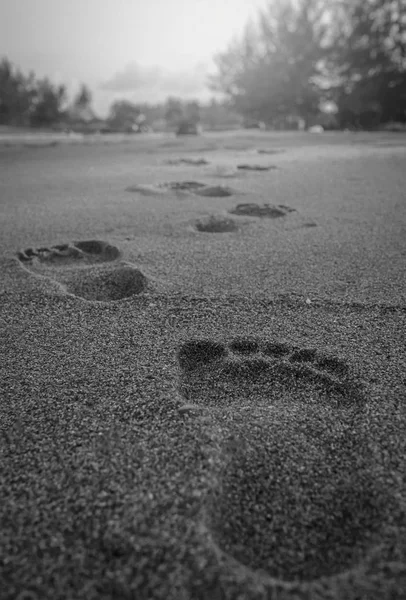 Imagen en blanco y negro de Huellas en la playa al atardecer. Enfoque selectivo — Foto de Stock