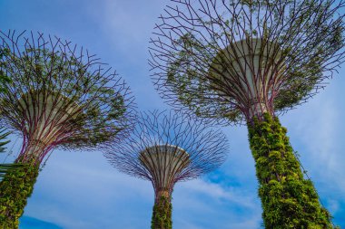 Singapur-Temmuz, 09: Gün görünümü Supertrees Grove Gardens tarafından gündüz koyunda. Singapur Temmuz, 09 2016