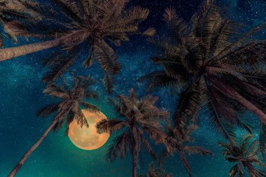 Dolunay ve Samanyolu üzerinde gece sky ile siluet Hindistan cevizi hurma ağacı. Vintage sesi (Nasa tarafından döşenmiş bu ay görüntü unsurları)