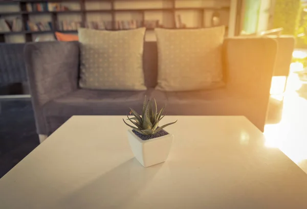 Cactus sobre mesa de madera en salón moderno. Tono vintage — Foto de Stock