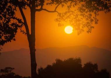 Günbatımı ağaç siluet ile Dağları üzerinde.