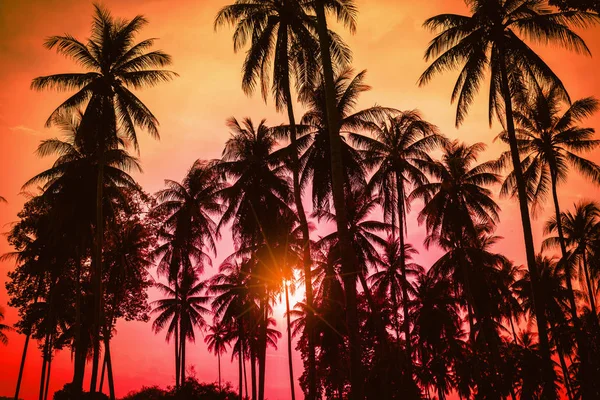 Silueta cocoteros en la playa al atardecer. Tono vintage. — Foto de Stock