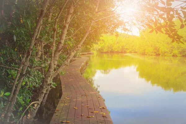 Ahşap köprü kırsal güneş ışığı ile Nehri yakınında. Seçici odak.