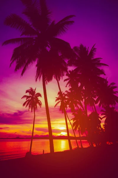 日落时在海滩上的椰子树轮廓.复古音. — 图库照片