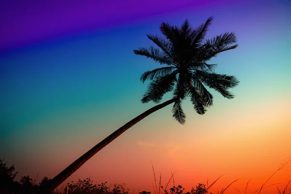 日落时在海滩上的椰子树轮廓.复古音. — 图库照片