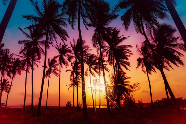 Силуетні кокосові пальми на пляжі на заході сонця. Вінтажний тон . — стокове фото