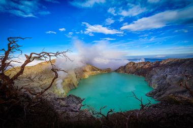 Kawah Ijen'de volkan Java, Endonezya mavi gökyüzü arka plan üzerinde ölü ağaçlar ile.