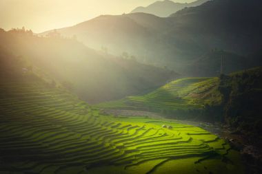 Gündoğumu de Mu Cang Chai, Yenbai, Vietnam, ahşap köşk ile pirinç tarlaları teraslı.