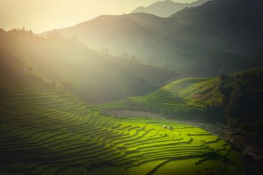 Rice fields on terraced with wooden pavilion at sunrise in Mu Cang Chai, YenBai, Vietnam. clipart