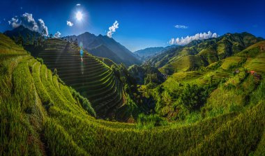 Mu Cang Chai, Yenbai, Vietnam 'da mavi gökyüzü arka planında ahşap pavyonla terastaki pirinç tarlaları.
