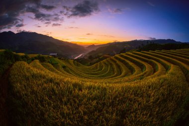 Günbatımı de Mu Cang Chai, Yenbai, Vietnam, ahşap köşk ile pirinç tarlaları teraslı.