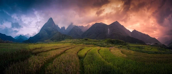 Campos de arroz en terrazas con fondo del Monte Fansipan al atardecer en Lao Cai, Vietnam del Norte. Fansipan es una montaña en Vietnam, la más alta de Indochina. — Foto de Stock