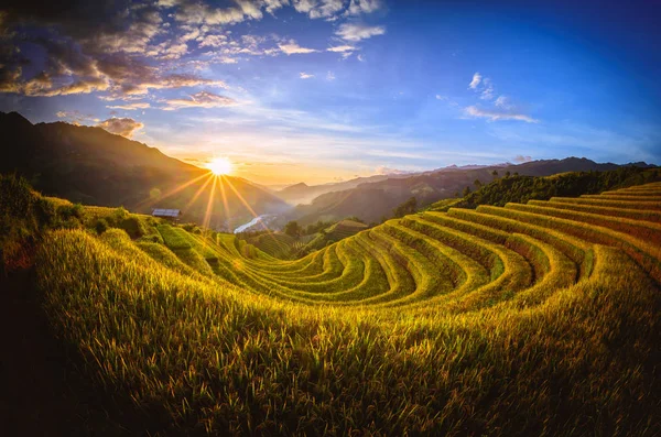 Campos de arroz em terraço com pavilhão de madeira ao pôr do sol em Mu Cang Chai, YenBai, Vietnã . — Fotografia de Stock