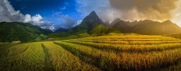 Reisfelder auf Terrassen mit dem Mount Fansipan Hintergrund bei Sonnenuntergang in Lao Cai, Nordvietnam. Fansipan ist ein Berg in Vietnam, der höchste in Indochina. — Stockfoto