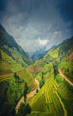 Dramatik gökyüzü arka planda Mu Cang Chai, Yenbai, Vietnam, pirinç tarlaları teraslı.