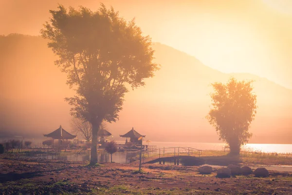 Szép zöld fák között a sunrise reggeli köd pavilon. — Stock Fotó