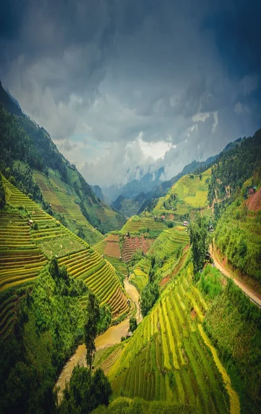 越南 Yenbai, 在戏剧性的天空背景下梯田的稻田. — 图库照片