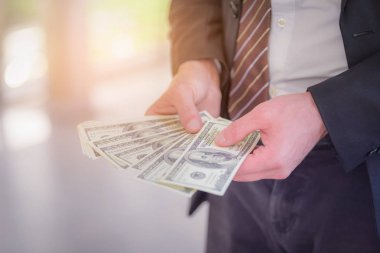 Para nakit dolar elinde tutan işadamı portresi. Finans başarı kavramı.