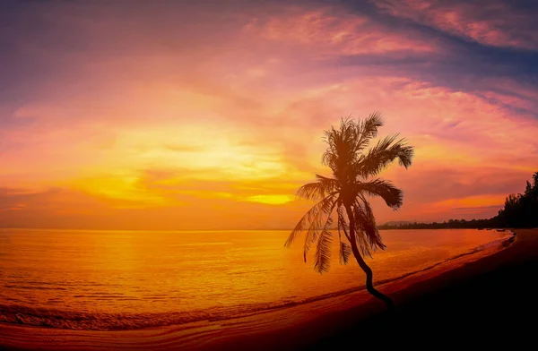 Landschaften von Silhouette Kokospalmen am Strand bei Sonnenuntergang. — Stockfoto