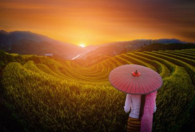 Woman holding traditional red umbrella on rice fields terraced with wooden pavilion at sunset in Mu Cang Chai, YenBai, Vietnam. clipart