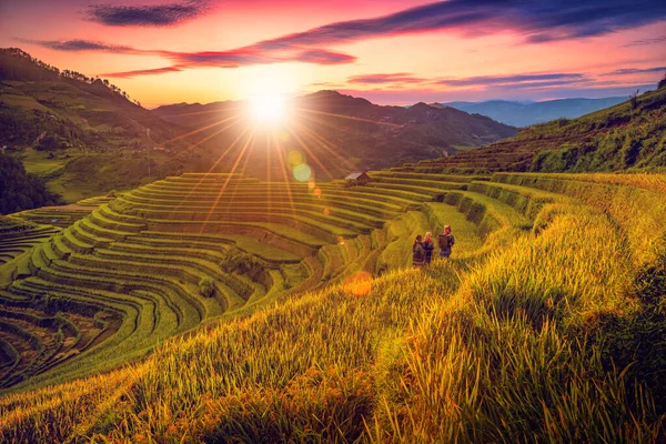 Vietnamesische Kinder Auf Dem Nachhauseweg Auf Einem Reisfeld Bei Sonnenuntergang — Stockfoto