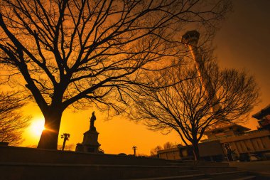Busan Kulesi, Busan, Güney Kore 'de gün batımında silueti olan büyük bir ağaç..