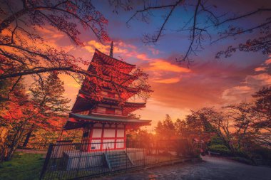 Chureito Pagoda ve kırmızı yaprak Japonya 'nın Fujiyoshida şehrinde sonbaharda gün batımında..