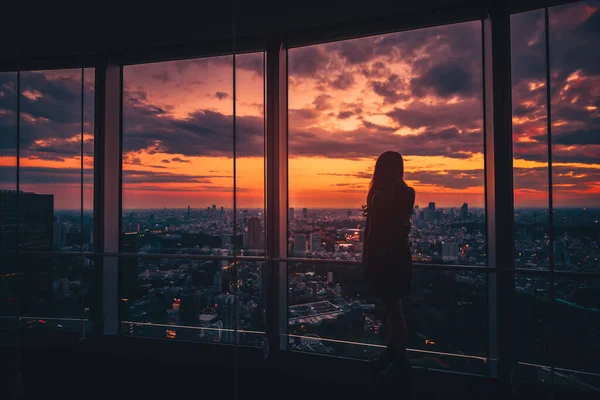 Tokyo Skyline 'a bakan Gezgin kadının dikiz görüntüsü ve Japonya' da gün batımında gözlem güvertesindeki gökdelenleri. Klasik ton