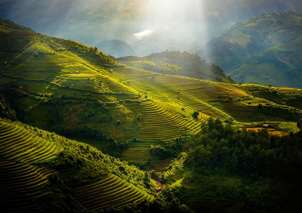 Reisfelder Auf Terrassen Mit Holzpavillon Bei Sonnenaufgang Cang Chai Yenbai — Stockfoto