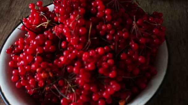 Viburnum bayas en un recipiente de barro y en la vieja mesa de madera . — Vídeo de stock