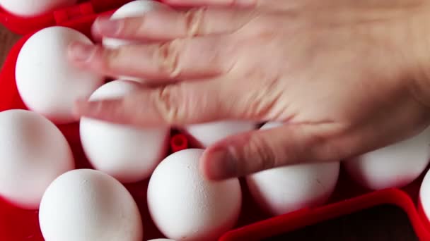 Huevos crudos frescos en una bandeja roja — Vídeos de Stock