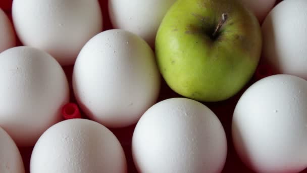 Huevos crudos frescos en una bandeja roja — Vídeo de stock