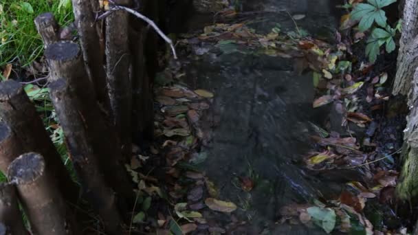 Petit ruisseau en montagne 