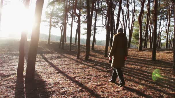 Vrouw gaat naar zonlicht en afscheid — Stockvideo