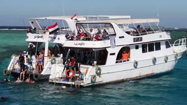 Sharm el-Sheikh, Mısır - 6 Aralık 2016: turist Yatlar vardır kırmızı Sea.Snorkeling ve scuba dalgıçlar için su aşağı inmek hazırlıyoruz. — Stok video