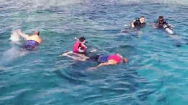 Sharm el-Sheikh, Mısır - 6 Aralık 2016: aqualung dalgıç dalış ve deniz dibinin snorkel hazırlanın.